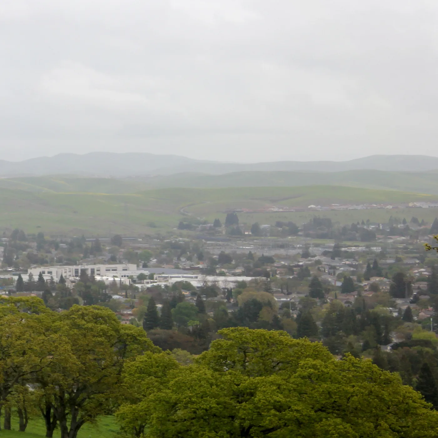 Panorama of downtown San Ramon, California